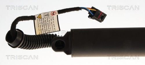 Baklukedemper, elektrisk