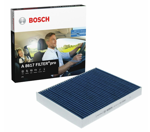Pollenfilter