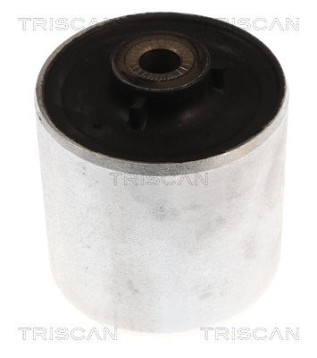 Foring, bærebru til BMW