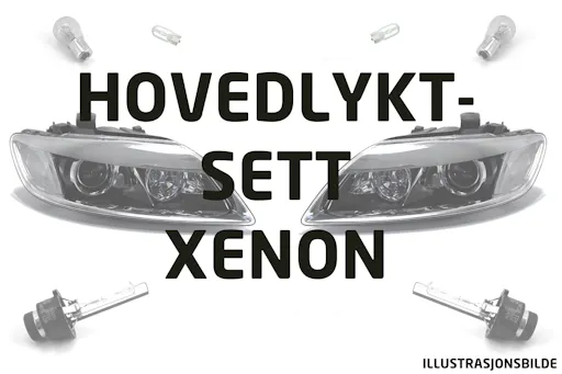 Hovedlyktsett