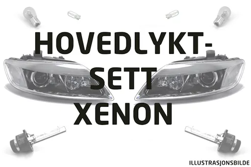 Hovedlyktsett