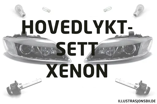 Hovedlyktsett