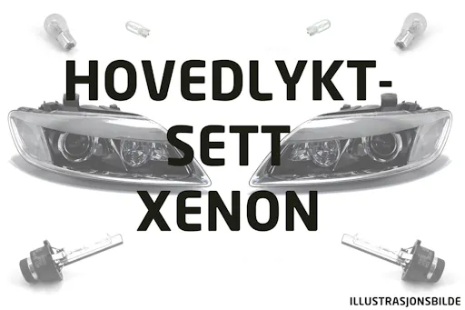 Hovedlyktsett
