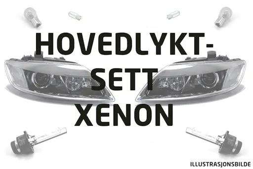 Hovedlyktsett