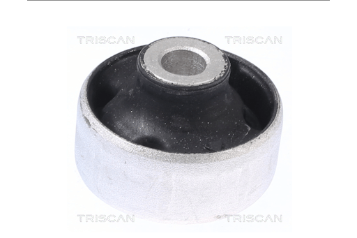 Foring, bærebru til Skoda