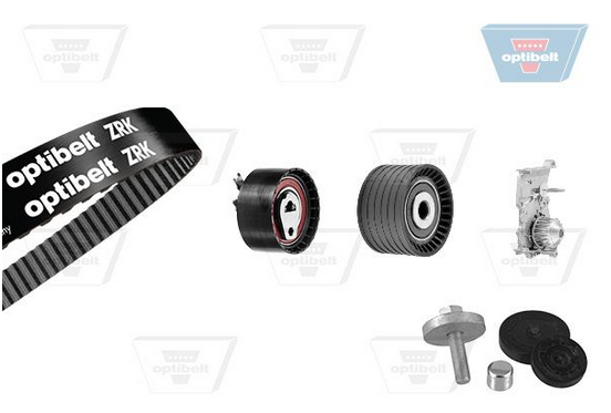 Registerreimsett med vannpumpe til Renault