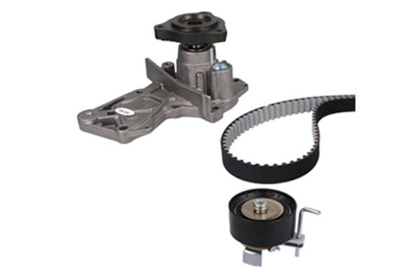 Registerreimsett med vannpumpe til Ford