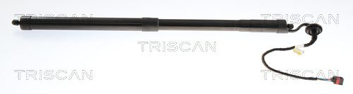 Baklukedemper, elektrisk